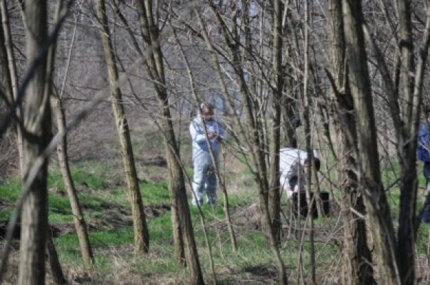 Liziera ororilor, de la ieşire din Constanţa: cadavre, câini morţi legaţi de copaci şi oameni care trăiesc în pământ